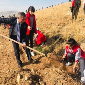 İl Müdürümüz çocuk evlerinde kalan çocuklar, Çocuk Hakları Kulübü üyeleri ile birlikte fidan dikim etkinliğine katıldı - fotoğraf 3