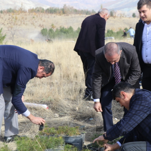"Geleceğe Nefes 11 Milyon Fidan" - fotoğraf 6