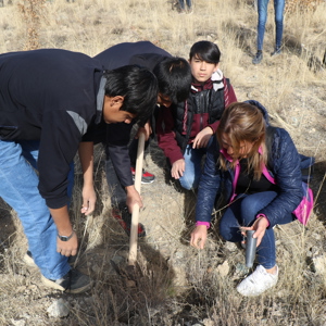 "Geleceğe Nefes 11 Milyon Fidan" - fotoğraf 9