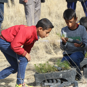 "Geleceğe Nefes 11 Milyon Fidan" - fotoğraf 15