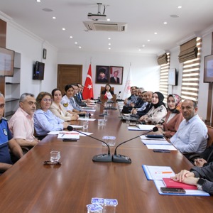 5395 Sayılı Çocuk Koruma Kanunu Gereğince uygulanan tedbir kararlarının 2025 yılı kapsamında değerlendirilmesi - fotoğraf 2