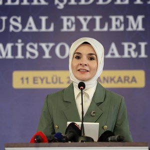 Bakanımız Göktaş, "Kadına Yönelik Şiddetle Mücadele V. Ulusal Eylem Planı İhtisas Komisyonları Toplantısı"na katıldı - fotoğraf 3