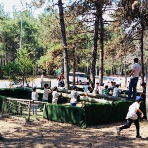 Başakşehir’de Devlet Himayesindeki Çocuklarımız İçin İzcilik Kampı Düzenlendi - fotoğraf 2