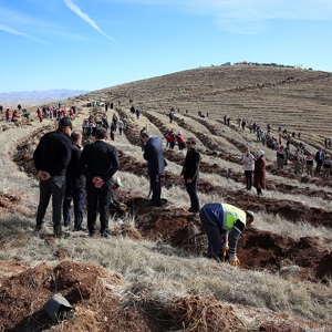 Bayburt 120 Bin Fidan ile "Geleceğe Nefes Olacak" - fotoğraf 2
