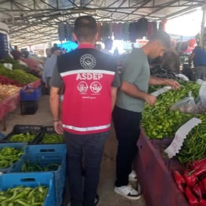 Aile Yılı Eylül Ayı Etkinlikleri Devam Ediyor - fotoğraf 2