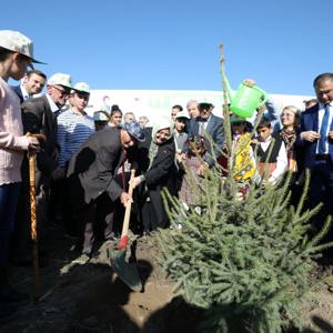 Bakanımız Sayın Zehra Zümrüt Selçuk, "Bugün Fidan, Yarın Nefes" Kampanyası Kapsamında Sinop'ta Fidan Dikimi Törenine Katıldı - fotoğraf 5