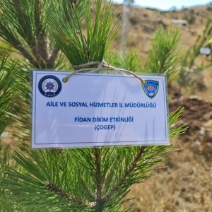 İl Müdürümüz Özgür Kırmızıtaş, Çocuklarla Birlikte Fidan Dikti - fotoğraf 3