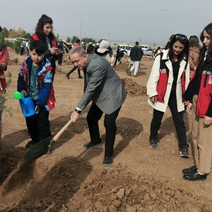 11 Kasım Milli Ağaçlandırma Günü Yeşil Vatan Seferberliği fidan dikim etkinliği - fotoğraf 3