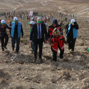 11 Kasım Milli Ağaçlandırma Günü’nde Yeşil Vatanın Yeni Üyelerini Toprakla Buluşturduk.  - fotoğraf 15