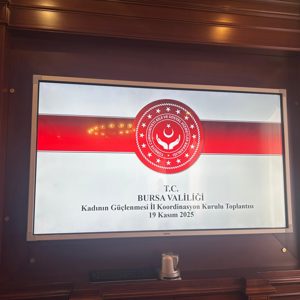 Kadının Güçlenmesi İl Koordinasyon Kurulu Toplantısı Gerçekleştirildi - fotoğraf 3