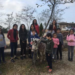 Trabzon At Çiftliği Gezi Programı - fotoğraf 1