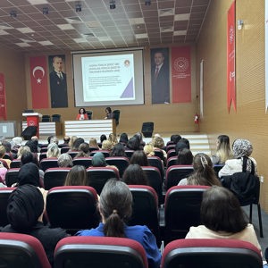 Bir İnsan Hakkı İhlali Olan Kadına Yönelik Şiddetle Mücadele Politikaları - fotoğraf 1