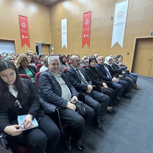 Bir İnsan Hakkı İhlali Olan Kadına Yönelik Şiddetle Mücadele Politikaları - fotoğraf 6