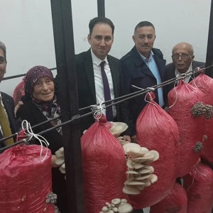 Huzurevinde İlk İstiridye Mantarı Hasadı Gerçekleştirildi  - fotoğraf 1