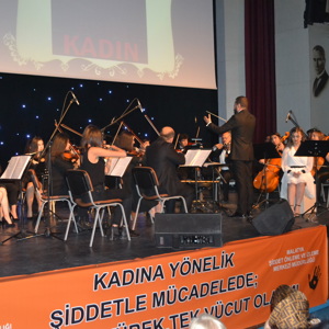 ‘Kadına Yönelik Şiddete Karşı Uluslararası Mücadele Günü’ farklı etkinliklerle kutlandı. - fotoğraf 2