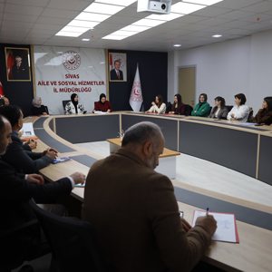 Kadına Yönelik Şiddetle Mücadele Dördüncü Dönem Toplantısı  - fotoğraf 1