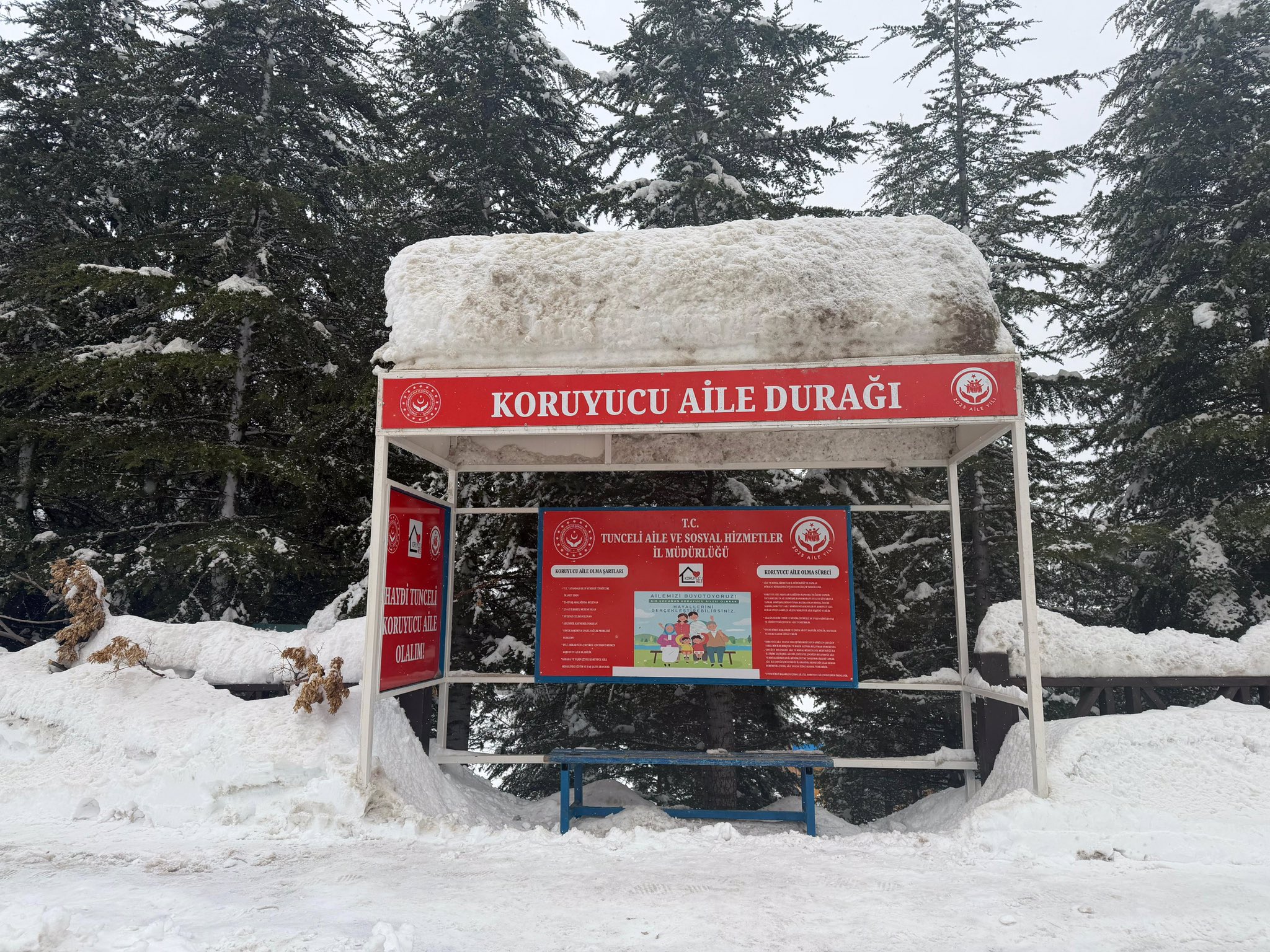 Tunceli’de kar yağışı etkisini artırırken, Koruyucu Aile Durağımız da kışa hazır!