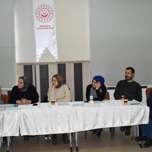 Çocuk Koruma Hizmetlerinde Karar Destek Projesi - fotoğraf 4