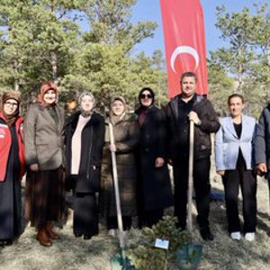 Fidanlar Toprakla Buluştu. - fotoğraf 2