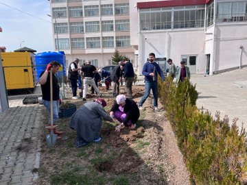 Ulu Çınarlarımız, gelecek nesillere nefes oluyor...