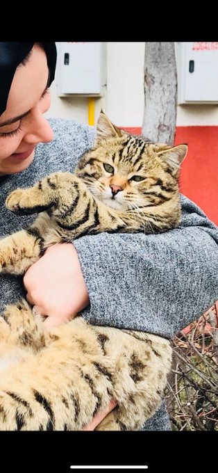 Müdürlüğümüzde kalan çocuklarimiz ile birlikte sokak hayvanlarını besleyerek hem doğaya hem  hayvanlara sevgi dolu bir dokunuş yaptik