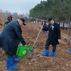Dünya Ormancılık Günü ve Orman Haftası kapsamında taze fidanlar toprakla buluştu. - fotoğraf 3