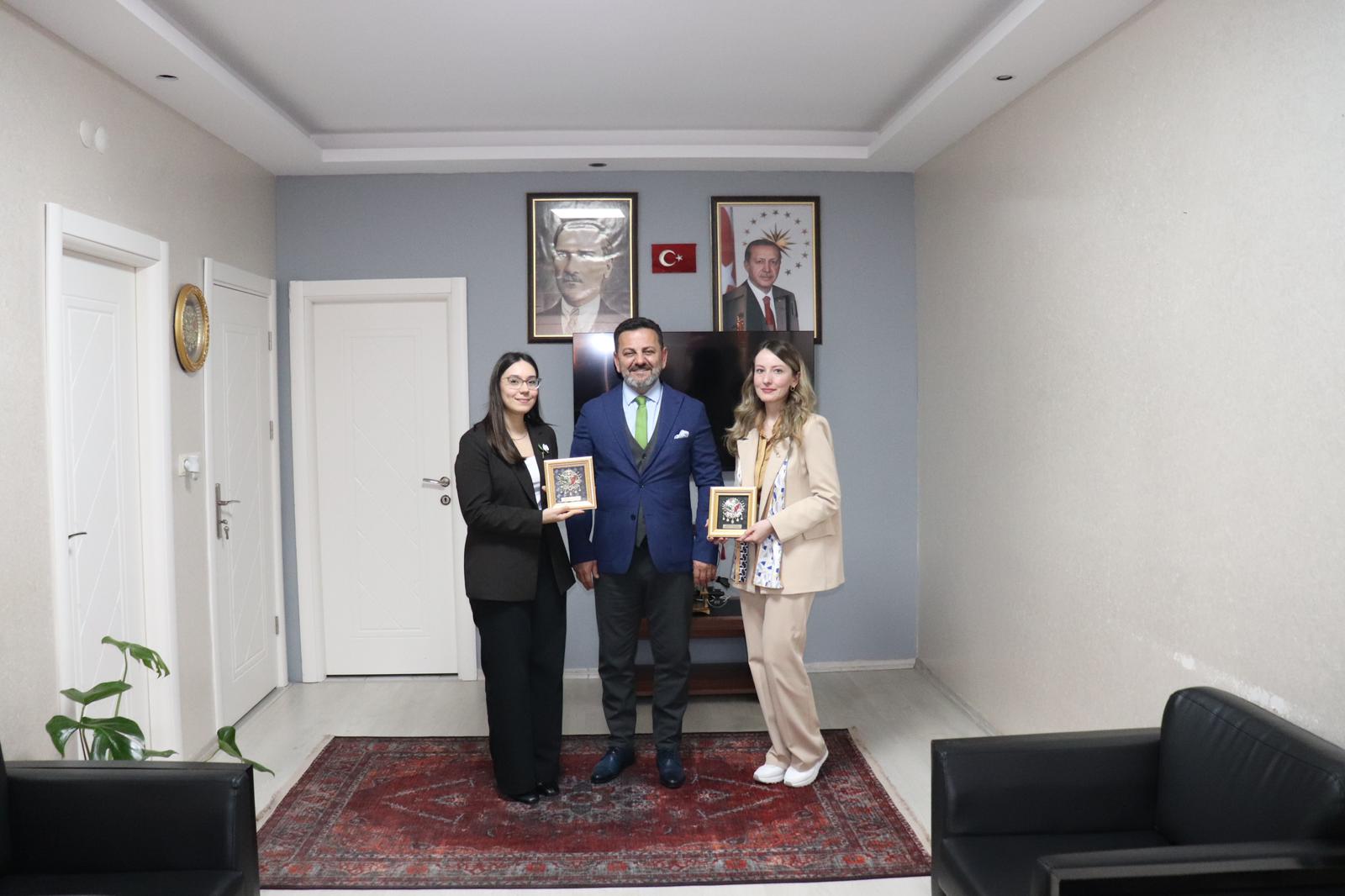 Ziyaret