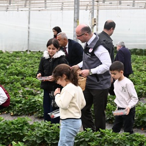Minik Eller Tarımda” etkinliğimiz kapsamında Bakanlığımız himayesinde koruma ve bakım altında bulunan çocuklarımız ,Okul Destek Hizmetinden faydalanan çocuklarımız ve aziz şehitlerimizin ve kıymetli gazilerimizin evlatları ile birlikte, Sayın Valimiz Mehmet Fatih Serdengeçti’nin katılımıyla, geçen yıl çocuklarımız tarafından ekimi yapılan  çileklerin hasadını yine çocuklarımız tarafından gerçekleştirildi - fotoğraf 1