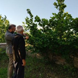  İl Müdürümüz Alper Alp; şehitlerimizin kıymetli ailelerini yalnız bırakmadı. - fotoğraf 4