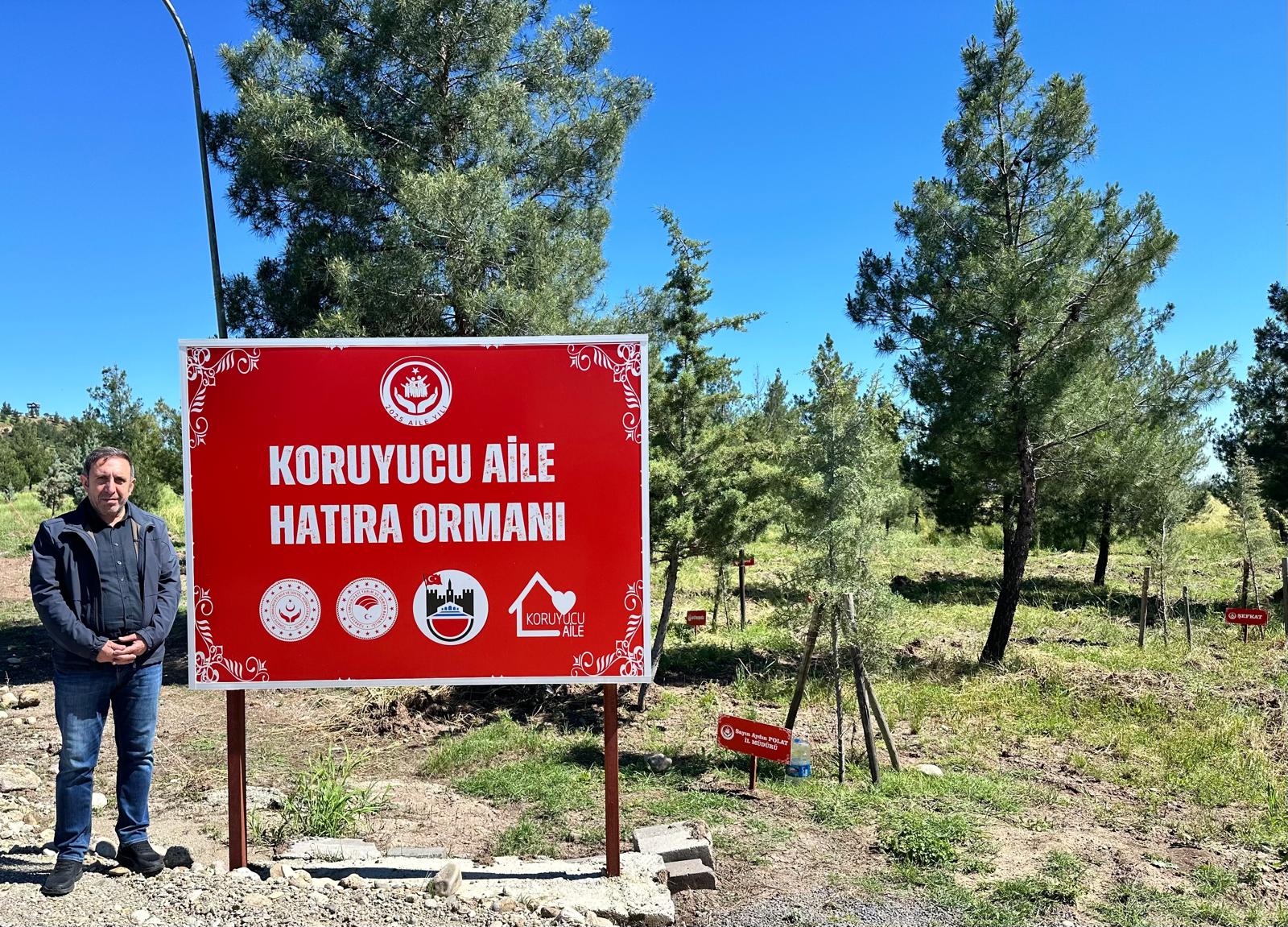 Koruyucu Aile Hatıra Ormanında İncelemelerde Bulunuldu