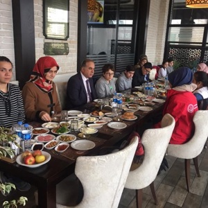 ÇOCUK HAKLARI KOMİTESİNE ÜYELERİNE PSİKOSOSYAL DESTEK - fotoğraf 1