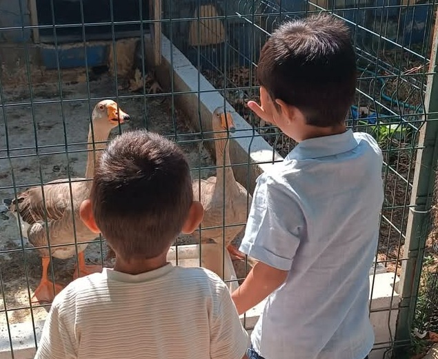 Minik Kalplerle Gelişim ve Eğlence 