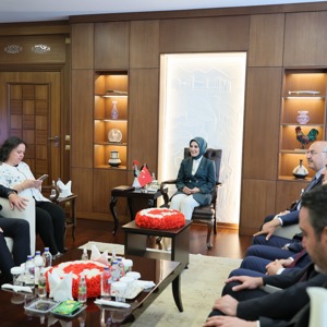 Bakanımız Mahinur Özdemir Göktaş, Denizli'de konuştu: - fotoğraf 8