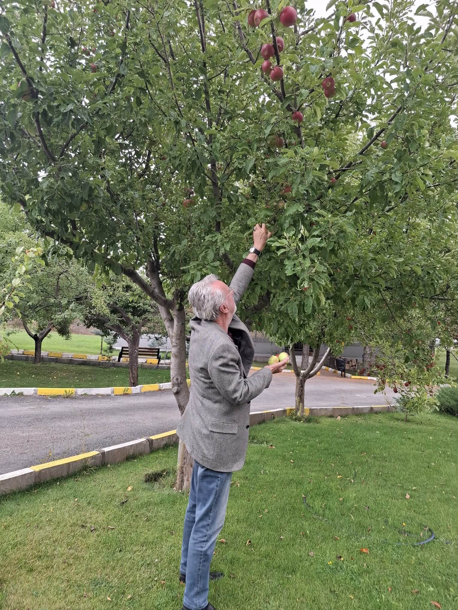 Dalından Bir Elma, Gönülden Bir Hatıra