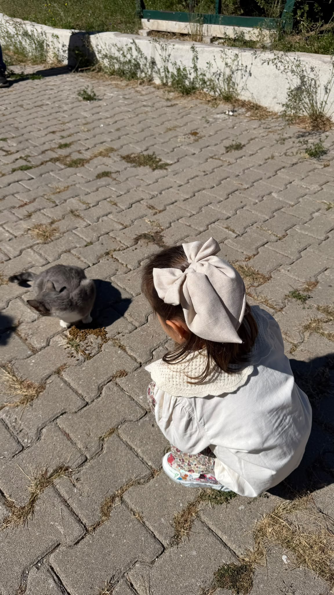 4 Ekim Dünya Hayvanları Koruma Günü