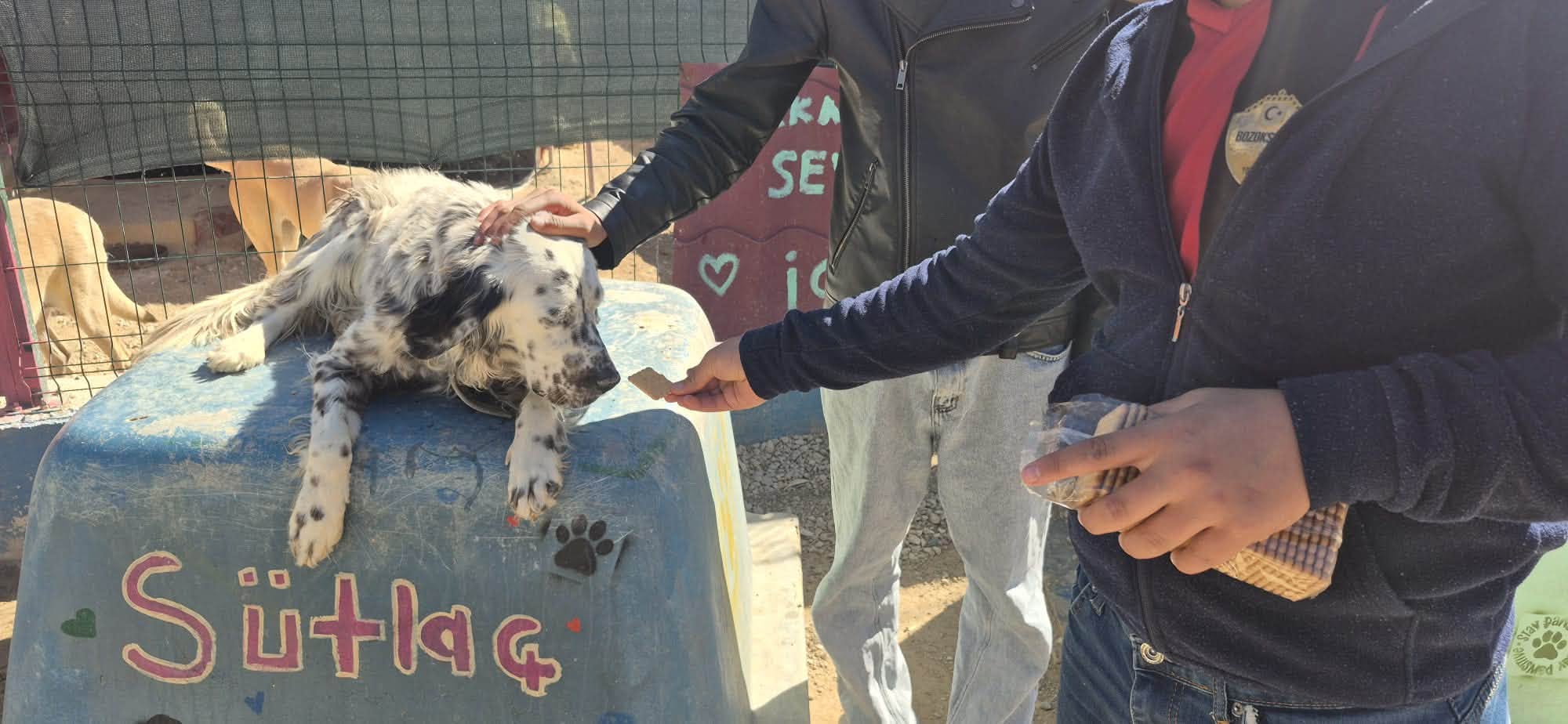 Yozgat Çocuk Evleri Sitemizdeki Çocuklarımızla "Renkli Patiler" Etkinliği 