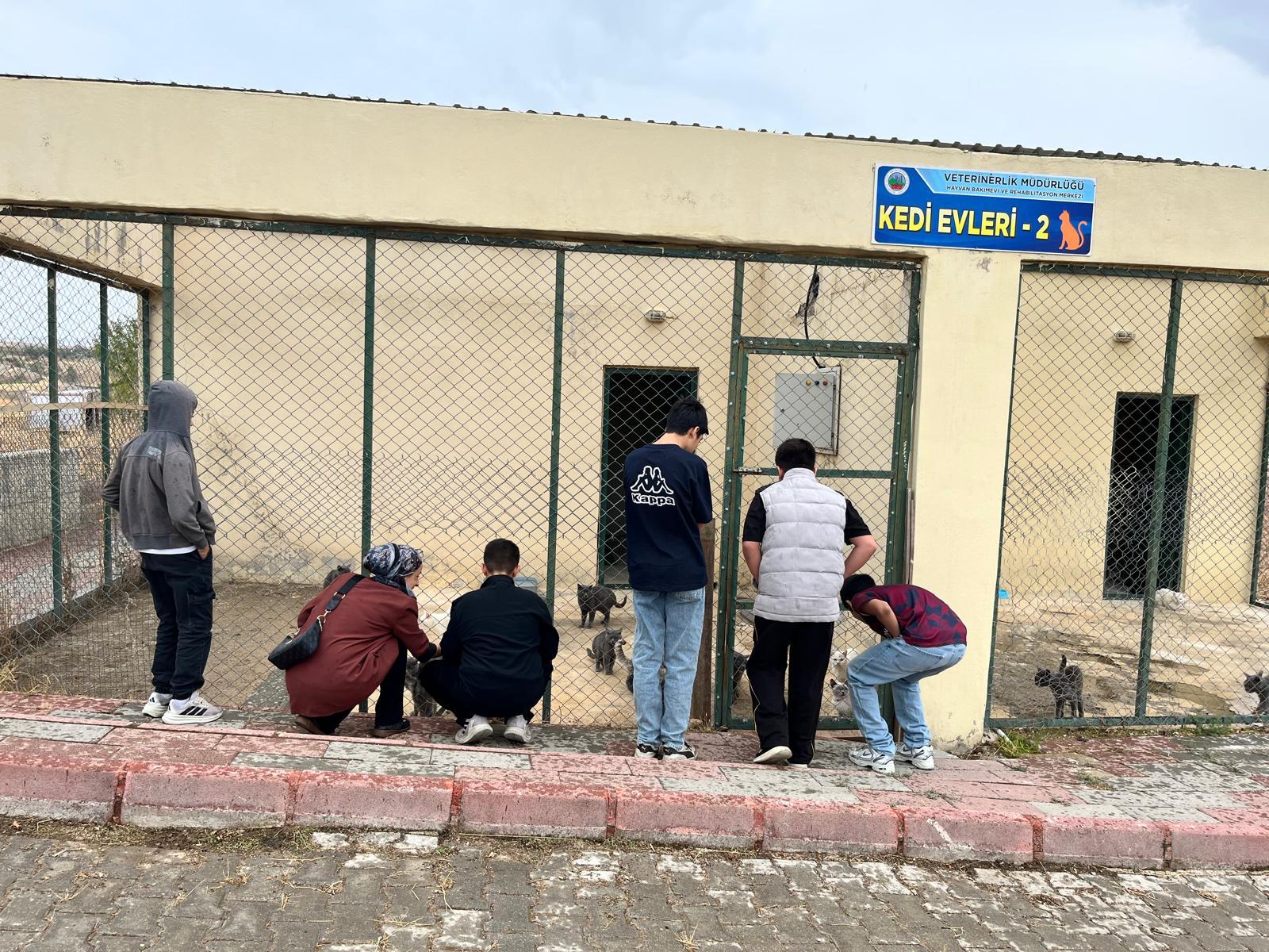 Hayvan Sevgisi Ve Koruma Bilinci