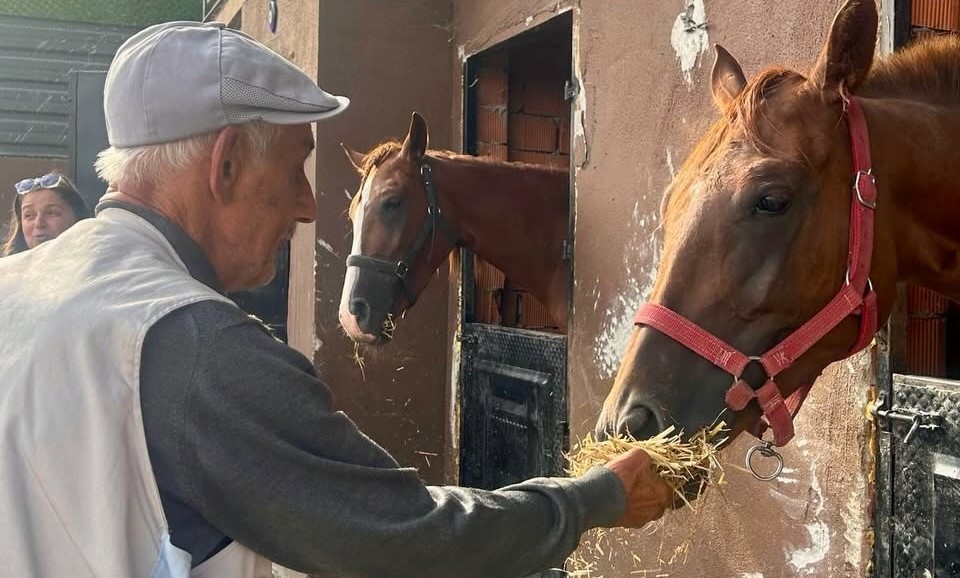 🐎 Kıymetli Büyüklerimizden At Çiftliğine Keyifli Ziyaret