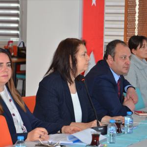 Roman İl Eylem Planı İzleme ve Değerlendirme Kurulu  4. Toplantısı Düzenlendi - fotoğraf 8