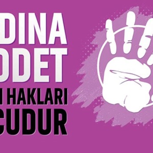 "Kadına Yönelik Şiddetle Mücadele" Kapsamında Eğitimlerimiz Telekonferans İle Devam Ediyor - fotoğraf 1