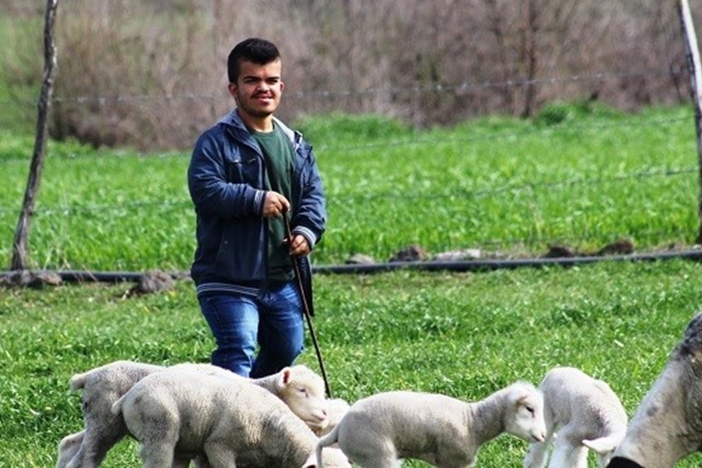 Kendi İşini Kurmak İsteyen Engellilerimiz İçin Hibe Desteği Başvuruları Başladı.