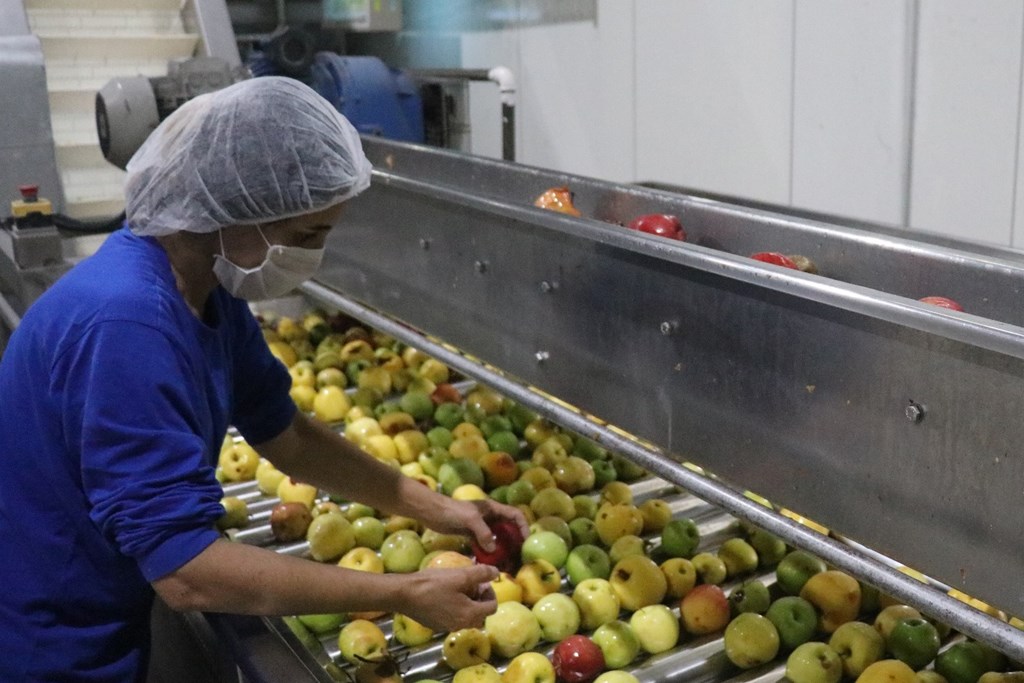 Bakan Selçuk: “Haziran Ayına İlişkin Nakdi Ücret Desteği Ödemeleri 8 Temmuz’da Ödenmeye Başlıyor”