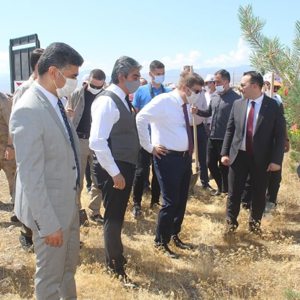 15 Temmuz Şehitleri Anısına Fidan Dikimi Yapıldı - fotoğraf 3