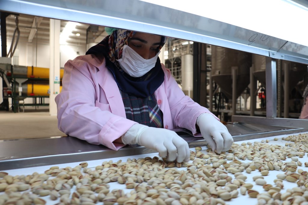 Bakan Selçuk: “Nitelikli ve Mesleki Yeterlilik Belge Sahibi Olan Kadın Çalışanlarımızın Sayısı 50 Bini Aştı”