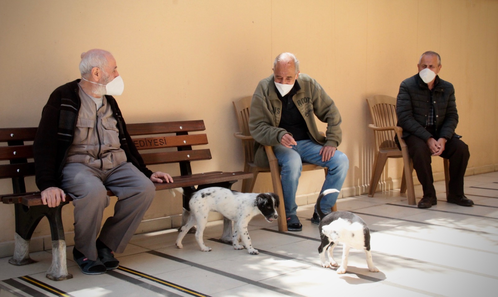 Bakan Selçuk: “Ekim Ayına İlişkin Yaşlı ve Engelli Aylıkları ile Evde Bakım Ödemelerini Vatandaşlarımızın Hesaplarına Yatırdık"