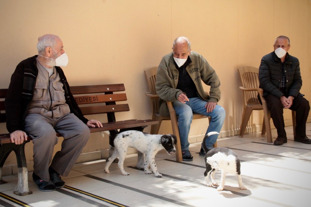 Bakan SELÇUK: “Ekim Ayına İlişkin Yaşlı ve Engelli Aylıkları ile Evde Bakım Ödemelerini Vatandaşlarımızın Hesaplarına Yatırdık"