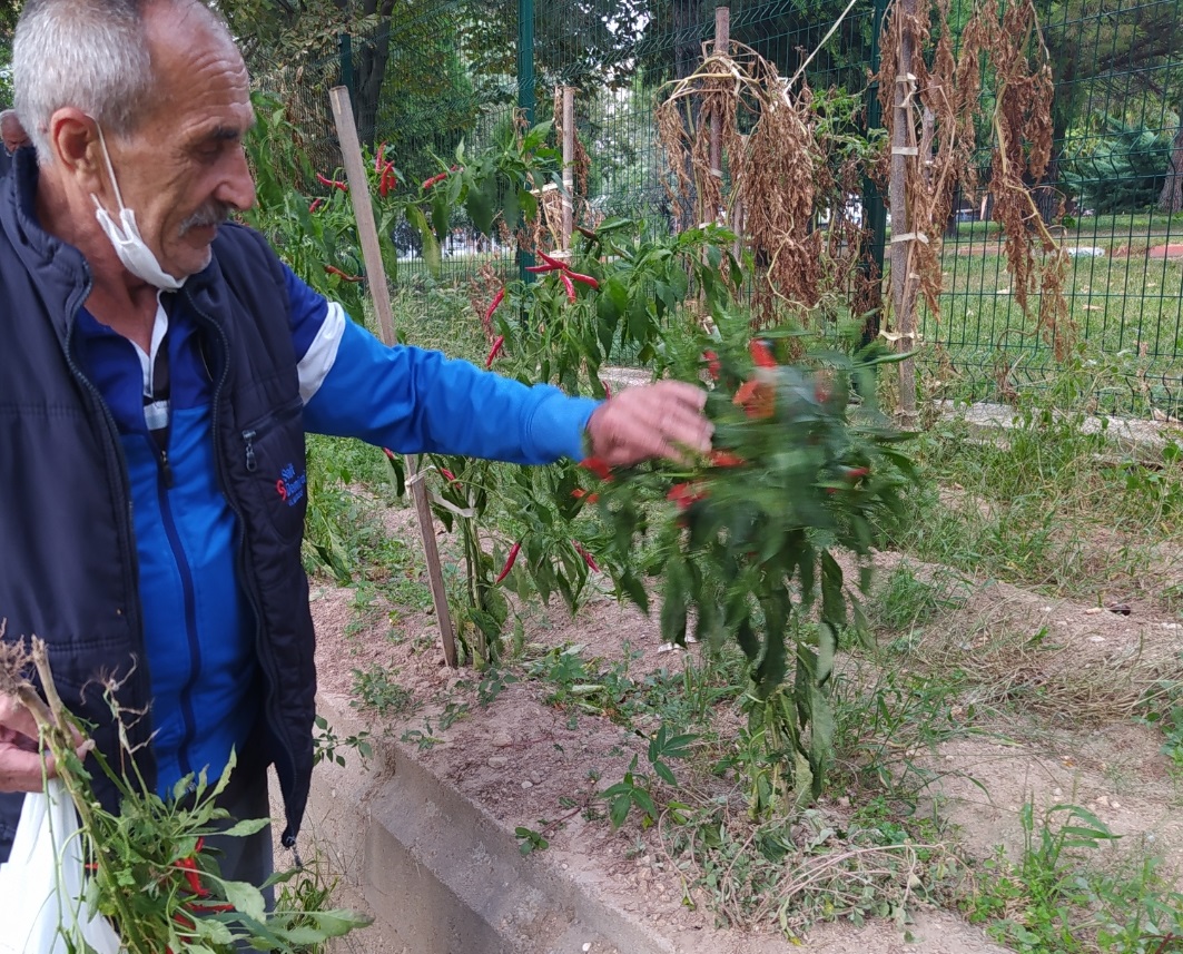 Kırklareli Huzurevinde Hasat Şenliği
