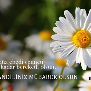 Mevlit Kandilimiz Mübarek Olsun - fotoğraf 1