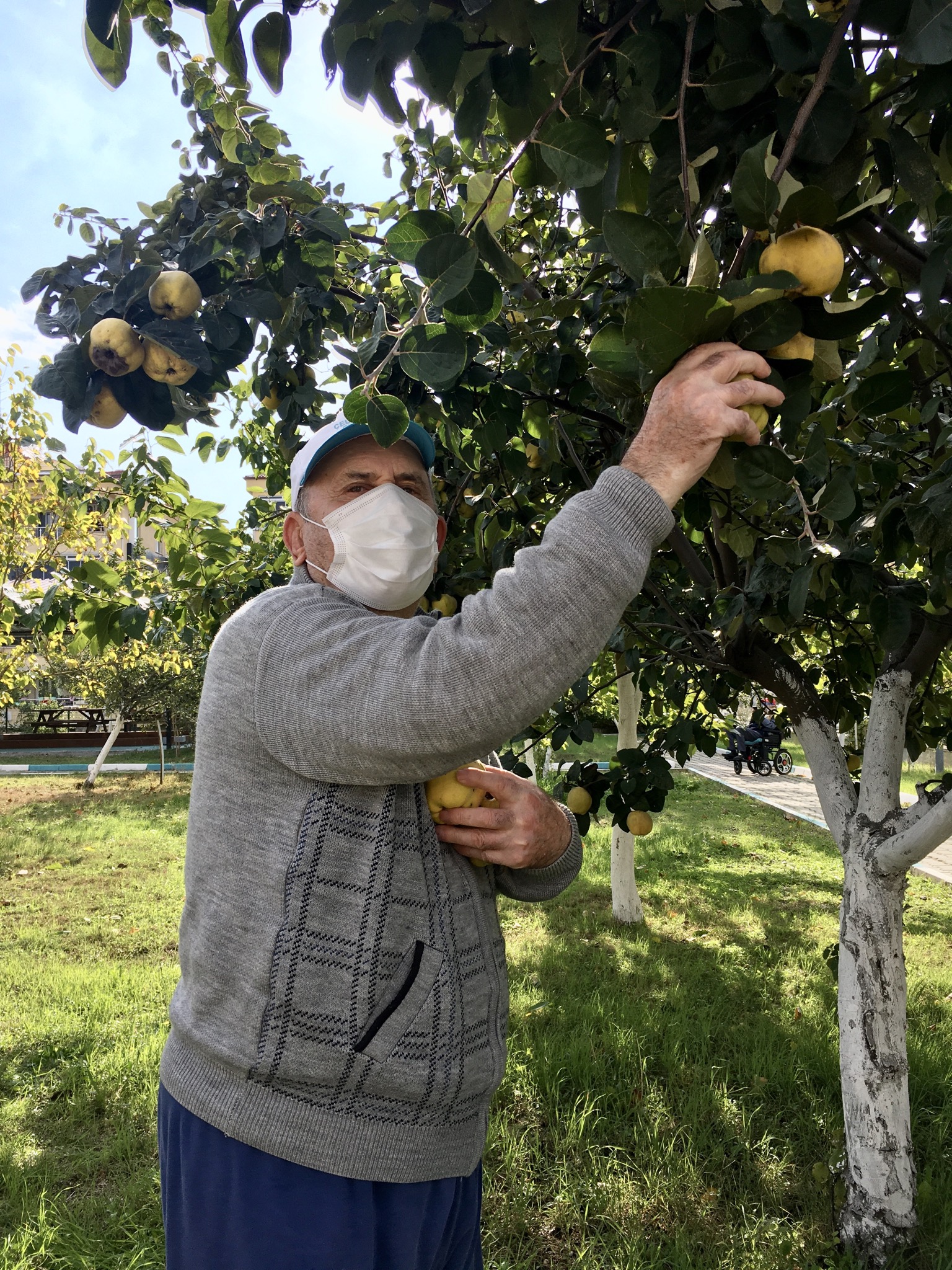 Lüleburgaz Ramazan Yaman Huzurevi Müdürlüğü sakinlerimiz kuruluş bahçemizde mevcut ağaçlardan topladıkları ayvalarla doğal ayva reçeli hazırladılar.