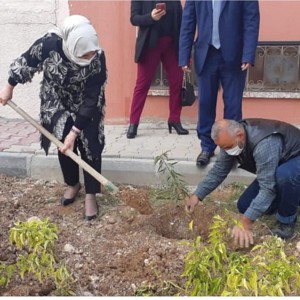 Kadına Yönelik Şiddete Karşı Uluslararası Mücadele Günü Kapsamında Ağaç Dikme Etkinliği Gerçekleştirildi - fotoğraf 3